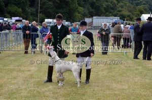 1771329857_1771329857_dunster-country-fair-116