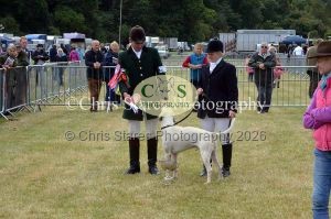 1771329858_1771329858_dunster-country-fair-117