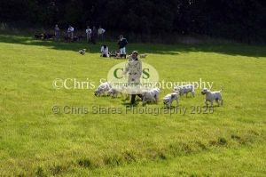 1771329861_1771329861_dunster-country-fair-119