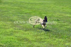 1771329874_1771329874_dunster-country-fair-129