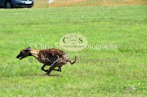 1771329882_1771329882_dunster-country-fair-135