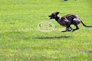 1771329888_1771329888_dunster-country-fair-140