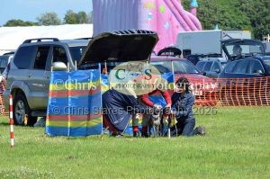 1771329890_1771329890_dunster-country-fair-141