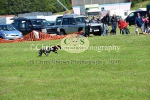 1771329892_1771329892_dunster-country-fair-143