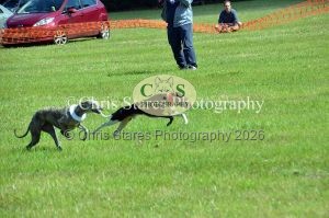 1771329893_1771329893_dunster-country-fair-144