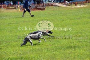 1771329895_1771329895_dunster-country-fair-145