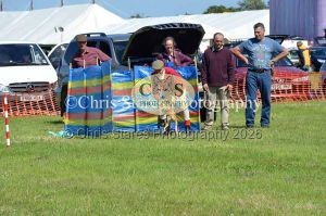 1771329901_1771329901_dunster-country-fair-150