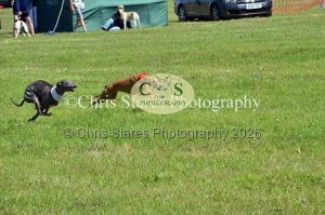 1771329902_1771329902_dunster-country-fair-151