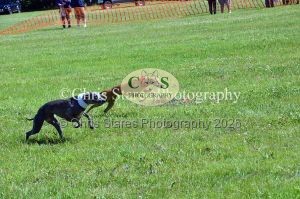 1771329904_1771329904_dunster-country-fair-152