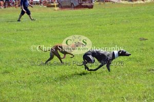 1771329905_1771329905_dunster-country-fair-153