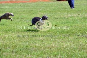 1771329908_1771329908_dunster-country-fair-155