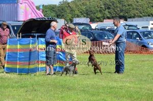 1771329912_1771329912_dunster-country-fair-158