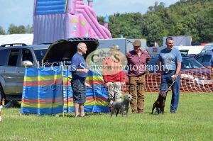 1771329913_1771329913_dunster-country-fair-159