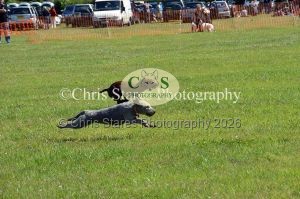 1771329917_1771329917_dunster-country-fair-162