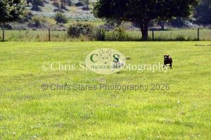 1771329918_1771329918_dunster-country-fair-163