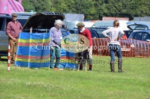 1771329921_1771329921_dunster-country-fair-165