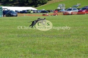 1771329925_1771329925_dunster-country-fair-168