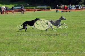 1771329927_1771329927_dunster-country-fair-170