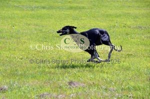 1771329933_1771329933_dunster-country-fair-174