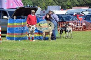 1771329934_1771329934_dunster-country-fair-175