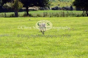 1771329938_1771329938_dunster-country-fair-178