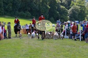 1771329946_1771329946_dunster-country-fair-184