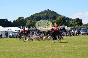 1771329947_1771329947_dunster-country-fair-185