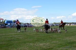 1771329950_1771329950_dunster-country-fair-187