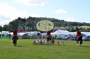 1771329952_1771329952_dunster-country-fair-189