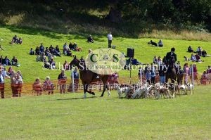 1771329955_1771329955_dunster-country-fair-191