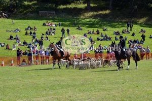 1771329956_1771329956_dunster-country-fair-192