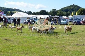 1771329957_1771329957_dunster-country-fair-193