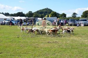 1771329959_1771329959_dunster-country-fair-194
