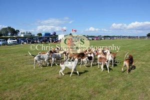 1771329960_1771329960_dunster-country-fair-195
