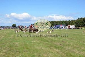 1771329969_1771329969_dunster-country-fair-202