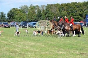 1771329970_1771329970_dunster-country-fair-203