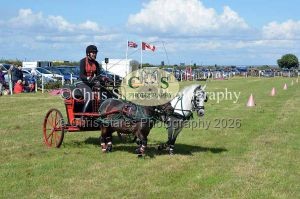 1771329974_1771329974_dunster-country-fair-206