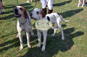 1771331118_1771331118_dunster-c-fair004