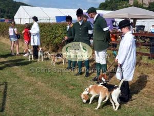 1771331121_1771331121_dunster-c-fair006