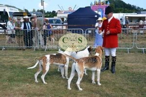 1771331122_1771331122_dunster-c-fair007