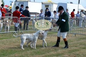1771331123_1771331123_dunster-c-fair008