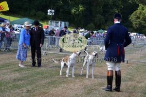 1771331124_1771331124_dunster-c-fair009