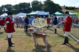 1771331135_1771331135_dunster-c-fair017