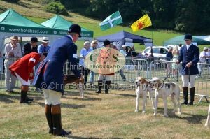 1771331136_1771331136_dunster-c-fair018