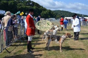 1771331139_1771331139_dunster-c-fair020
