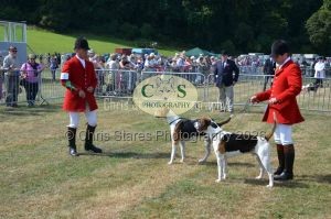 1771331145_1771331145_dunster-c-fair025