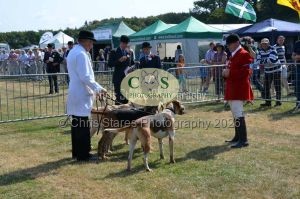 1771331147_1771331147_dunster-c-fair026