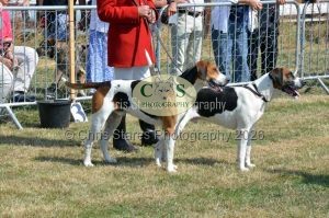 1771331152_1771331152_dunster-c-fair030