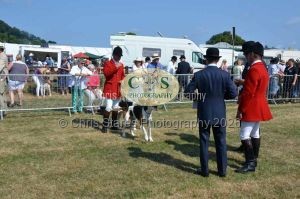 1771331153_1771331153_dunster-c-fair031