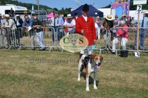 1771331154_1771331154_dunster-c-fair032